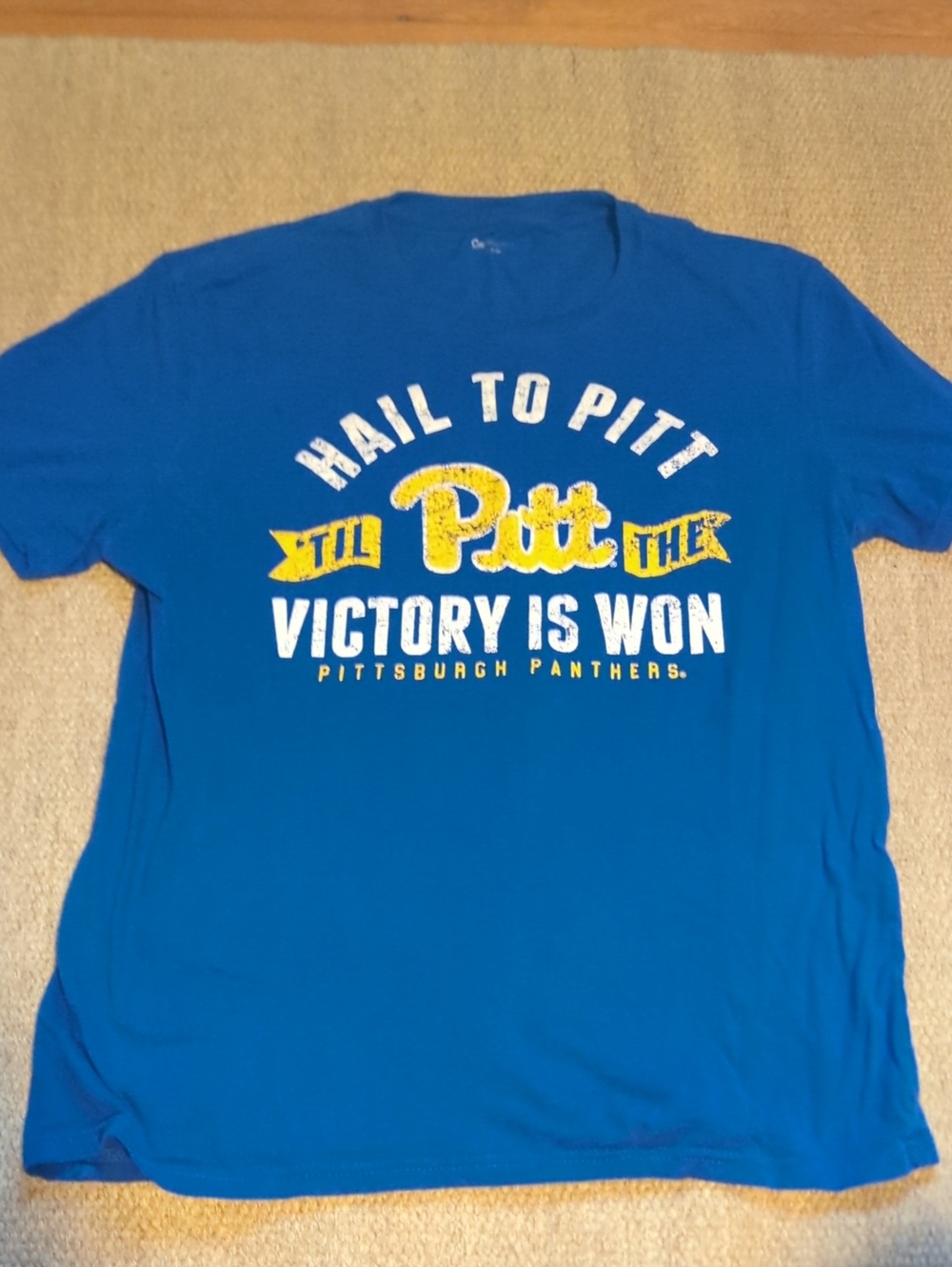 Mens Pittsburgh Panthers Hail To Pitt T Shirt Size Large Blue/Gold Size Large
